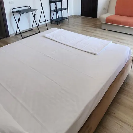 Pensiunea Crown 招待所